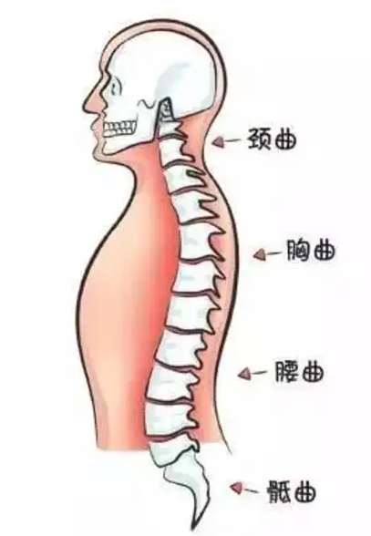 颈椎腰肌劳损怎么治疗 ，福州好的颈椎康复治疗医院